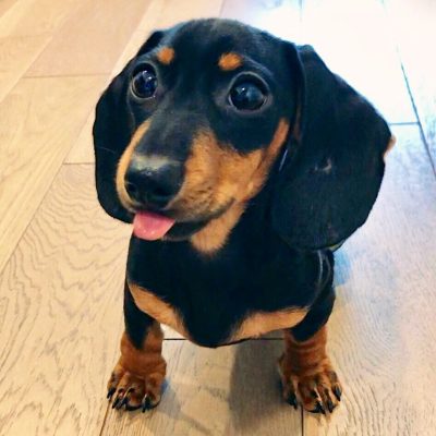 Coco