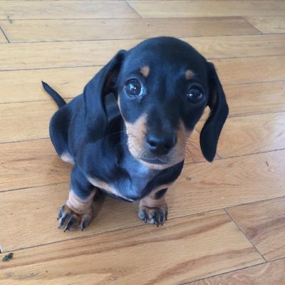 Max.